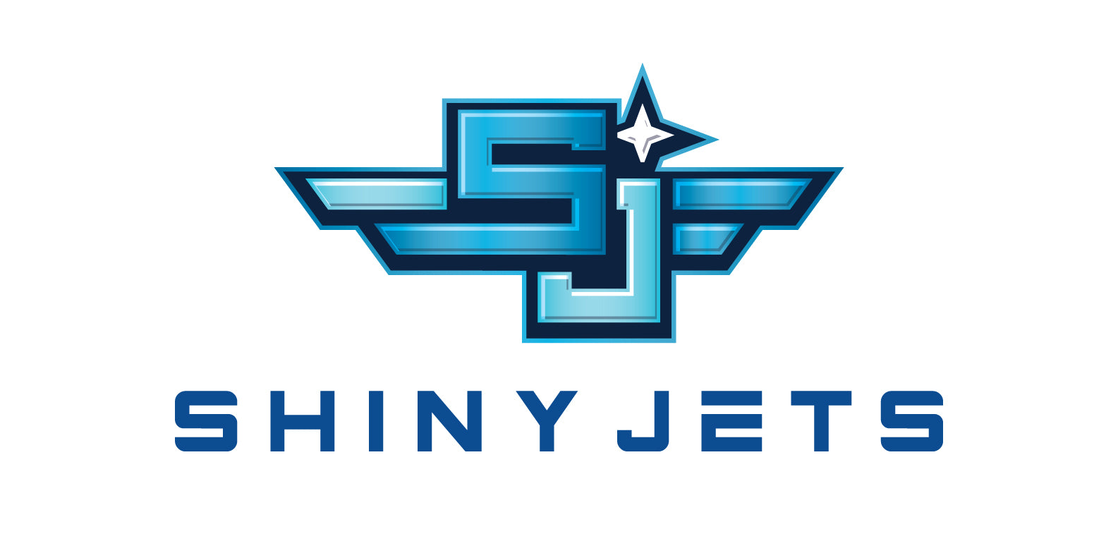 Shiny Jets | #1 Aircraft Detailing Training Academy