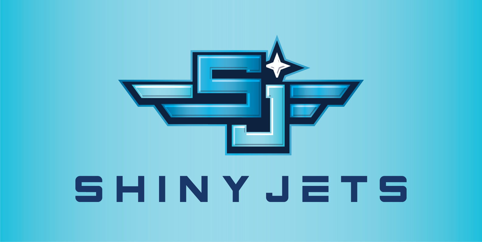 How to Start an Aircraft Detailing Business in 2026: Complete Guide